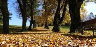 Kurrawa Park - Um Parque em Gold Coast