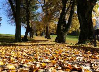 Kurrawa Park - Um Parque em Gold Coast