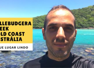 Passeio Em Tallebudgera Creek Gold Coast - Austrália