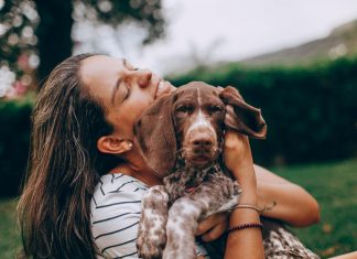 Como levar seus animais de estimação para Austrália animal de estimação
