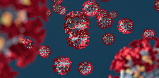 imagem do coronavirus