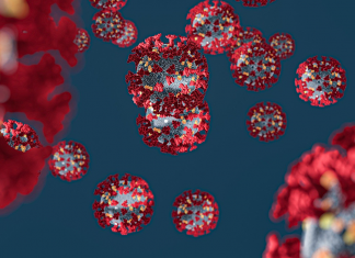 Tudo sobre o Coronavírus na Austrália imagem do coronavirus