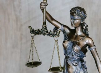 Leis da Austrália: as principais regras da terra dos cangurus
