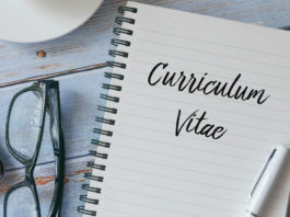 currículo vitae