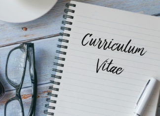 currículo vitae